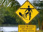 pantai-berbahaya_20170721_173622.jpg