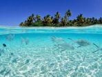 pantai-morotai.jpg