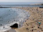 pantai-newport-1.jpg