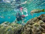 pantai-nglambor-yogyakarta_20160901_113304.jpg