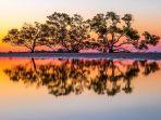 pantai-nudgee-brisbane.jpg