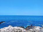 pantai-ogor-paret-maumere.jpg