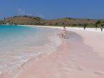 pantai-pink-bima.jpg