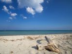 pantai-riserva-vendicari-sicily_20180213_145116.jpg