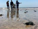 pantai-versova_20180328_173703.jpg