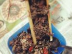 papiong_20180402_145202.jpg