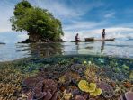 papua-nugini_20180116_152448.jpg