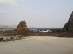 papuma_20170813_132238.jpg