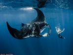 pari-manta_20171024_094723.jpg