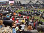 pasar-bisu_20180327_185437.jpg