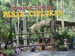 pasar-ciplukan-gambar.jpg