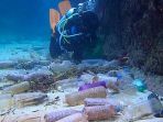 pasifik-selatan_20170728_084830.jpg