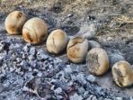 patthar-ki-roti-stone-bread_20170623_211522.jpg