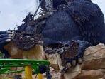 patung-gorila-di-jatim-park-roboh-akibat-gempa-sabtu-1042021.jpg