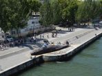 paus-terdampar-di-pusat-kota-paris_20170724_195404.jpg