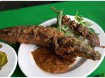 pecel-lele-briyan.jpg