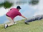 pegolf-yang-berusaha-mengambil-bola-di-samping-aligator.jpg