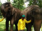 pelatihan-survei-populasi-gajah_20170412_083146.jpg