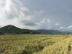 pemandangan-bukit-menoreh-dari-area-persawahan-sekitar-geblek-pari.jpg