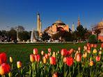 pemandangan-bunga-tulip-di-hagia-sophia-turki.jpg
