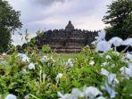 pemandangan-candi-borobudur-dilihat-dari-taman-kenari-borobudur.jpg