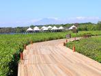 pemandangan-hutan-bakau-ikonik-di-beejay-bakau-resort-atau-bjbr-probolinggo-1.jpg