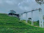 pemandangan-jembatan-kaca-kemuning-sky-hills-yang-dikelilingi-kebun-teh.jpg