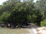 pemandangan-pantai-putri-klayar-lamongan.jpg