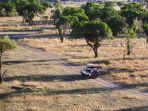 pemandangan-serengeti-dari-balon-udara-arusha-tanzania.jpg