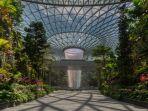 pemandangan-shiseido-forest-valley-and-hsbc-rain-vortex-dari-terminal-1.jpg