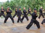 pencak-silat_20180831_202611.jpg