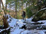 pendaki-di-taman-nasional-pegunungan-great-smoky-tennessee.jpg