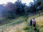 pendakian-Gunung-Lawu-via-Candi-Cetho.jpg