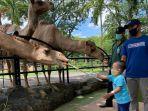 pengunjung-anak-yang-memberi-makan-unta-di-kebun-binatang-surabaya.jpg