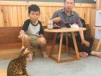 pengunjung-bermain-dengan-kucing-di-neko-kepo-cat.jpg