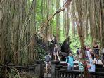 pengunjung-di-monkey-forest-ubud.jpg