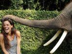 pengunjung-foto-bareng-gajah.jpg