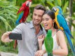 pengunjung-foto-bersama-burung-di-bali-bird-park.jpg