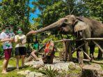pengunjung-memberi-makan-gajah-di-kebun-binatang-gembira-loka.jpg