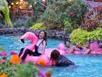 pengunjung-menikmati-kolam-renang-di-javanica-park.jpg