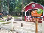 pengunjung-mini-zoo-cimory-riverside.jpg