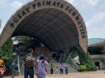 pengunjung-pusat-primata-schmutzer-1.jpg