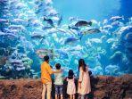 pengunjung-seaworld-gambar.jpg