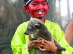 pengunjung-yang-berfoto-dengan-binturong-satwa-di-kebun-binatang-bandung.jpg