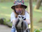 pengunjung-yang-berinteraksi-dengan-satwa-di-bali-zoo.jpg