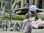 pengunjung-yang-tengah-berinteraksi-dengan-satwa-bali-zoo.jpg