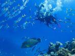 penyelam-di-the-great-barrier-reef.jpg