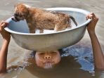 penyelamatan-anak-anjing_20180315_141249.jpg