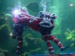 pertunjukan-barongsai-dalam-air-di-sea-world-ancol.jpg