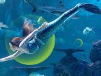 pertunjukan-show-pearl-of-the-south-sea-dan-bertemu-mermaid-di-jakarta-aquarium.jpg
